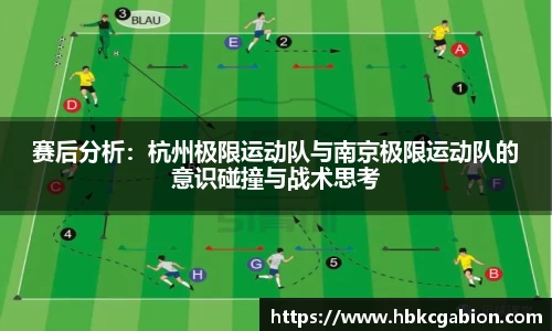 易游体育app